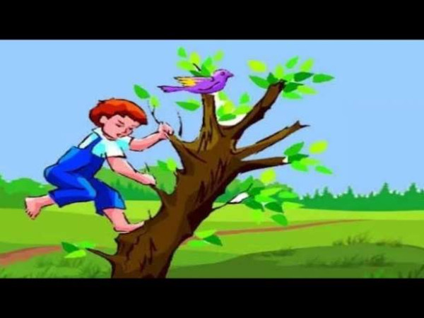 துணிச்சலான சிறுவன்