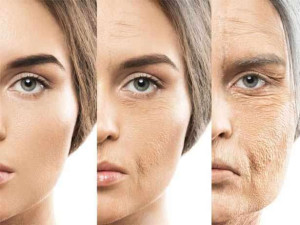 வயதாவதை   தடுக்கும் வைட்டமின் பற்றி தெரியுமா ?