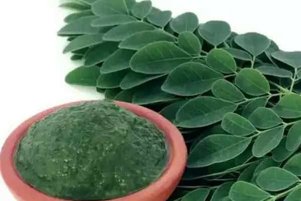 தலைமுடிக்கு அதிசயத்தை நிகழ்த்தும் முருங்கை கீரை