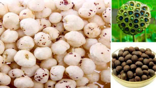 தாமரை விதை  தரும் நன்மைகள் பற்றி தெரியுமா?