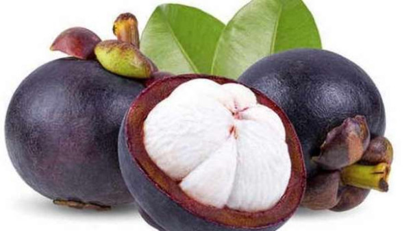 மங்குஸ்தான் பழத்தின் மருத்துவ குணங்கள்  பற்றி தெரியுமா?