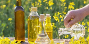 சமையல் எண்ணெய்களால் புற்றுநோய் ஏற்படும் அபாயம் ! ஆய்வில் அதிர்ச்சி 