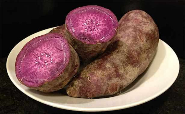 இளமையை அதிகரிக்கும் இராசவள்ளி கிழங்கு ..!