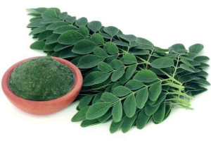 முருங்கை கீரையில் உள்ள சத்துக்கள் ப்ற்றித் தெரியுமா?