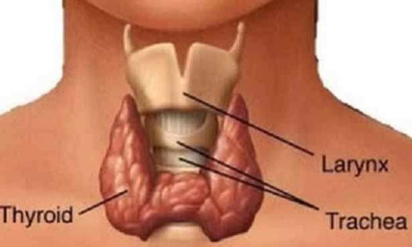 தைராய்டு என்றால் என்ன..?