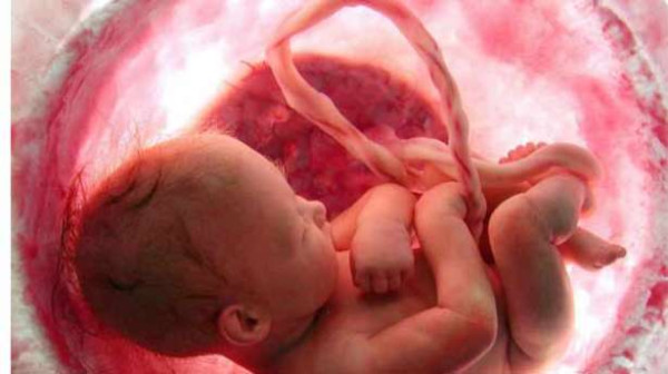 நம் உடலில் தொப்புளின் முக்கியத்துவங்கள் பற்றித் தெரியுமா..?