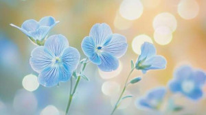 ஓர் கவிதை