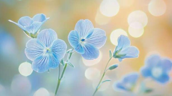 ஓர் கவிதை