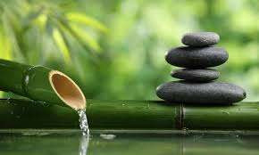 வாழ்வின் பரிவர்த்தனைகள்