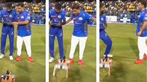 ஆகாஷ் அம்பானியை கதிகலங்க வைத்த ஹர்திக் பாண்டியா., AI ரோபோ நாயால் நடந்த வேடிக்கை