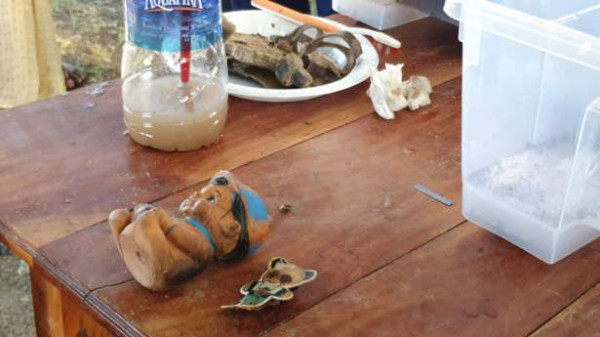 செம்மணியில் பொம்மையுடன் மீட்கப்பட்ட எலும்பு கூடு தொடர்பில் வெளியான தகவல்