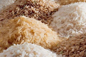 இலங்கையில் அரிசி தட்டுப்பாடு ஏற்படும் அபாயம்