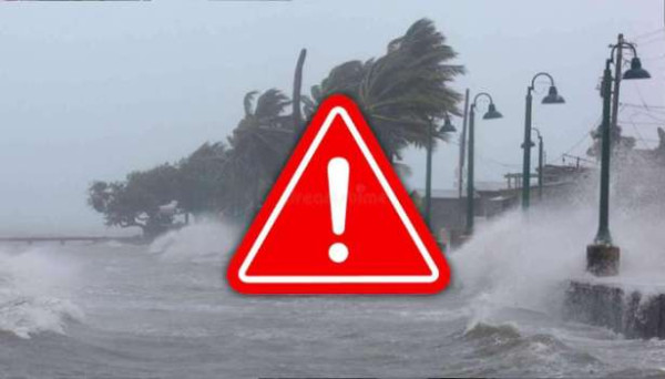 அர்ச்சுனாவின் எம்.பி பதவி இரத்துக்கு எதிரான மனு விசாரணைக்கு அனுமதி