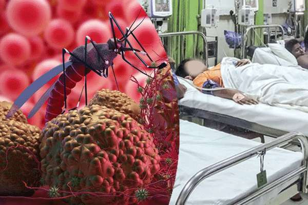  இலங்கையில் ஆபத்தாக மாறும் மலேரியா காய்ச்சல்