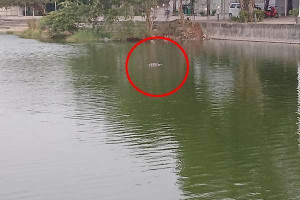 யாழில் குளத்திலிருந்து சடலமாக மீட்கப்பட்ட நபர்