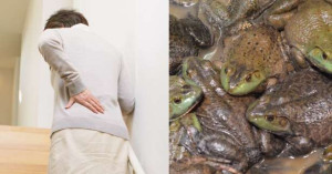 சீனாவில் முதுகுவலி போக தவளைகளை விழுங்கிய மூதாட்டி