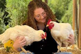 கோழிகளால் சிறை தண்டனைக்கு ஆளான அமெரிக்க பெண்