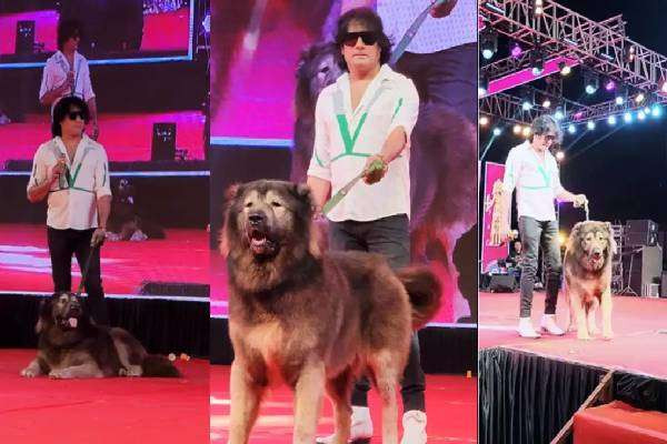 உலகின் விலையுயர்ந்த நாயை ரூ.50 கோடிக்கு வாங்கிய நபர்... ஏன் தெரியுமா?