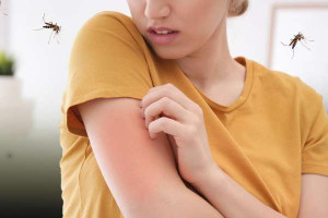 நுளம்புகளுக்கு இரத்த தானம் செய்யும் நபர்..!