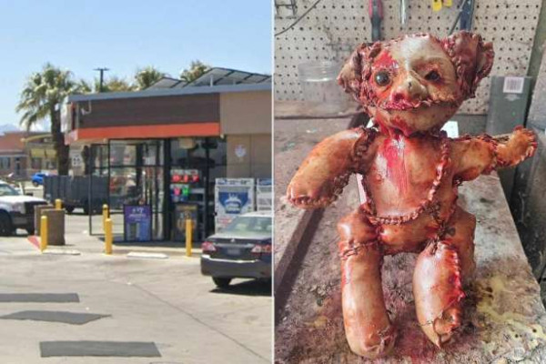 மனித தோலால் ஆன டெடி பொம்மை - அமெரிக்காவில் அதிர்ச்சி