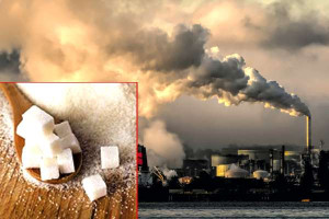 CO2 வாயுவை உணவாக மாற்றி சீன விஞ்ஞானிகள் சாதனை