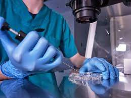 ஆய்வகத்தில் மனித விந்தணு, கருமுட்டை உருவாக்க முடியும் - விஞ்ஞானிகள் ஆச்சரியம்