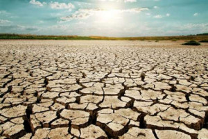 பாரிய வறட்சியை எதிர்கொள்ளும் உலகம் - சுவிஸ் ஆய்வாளர்கள் எச்சரிக்கை