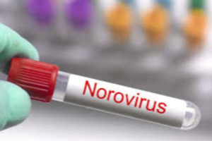 சீனாவில் நோரா வைரஸ் - 100-க்கும் மேற்பட்டோர் பாதிப்பு