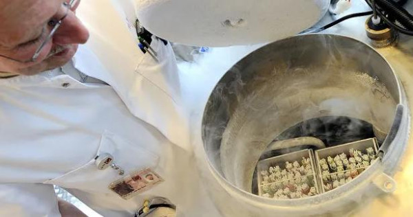 பிரித்தானியாவில் மனைவியின் ஆசையை நிறைவுற்றிய  கணவருக்கு நேர்ந்த கதி