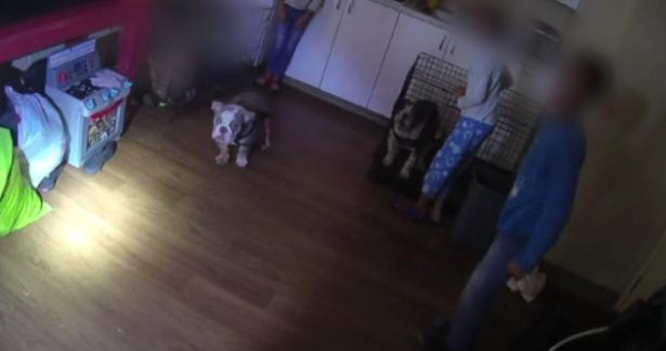 குழந்தைகளை நாய் கூண்டில் அடைத்து சித்திரவதை  - அமெரிக்காவில் கொடூரச் சம்பவம்