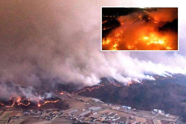 தென் கொரியாவை உலுக்கும் பிரம்மாண்ட காட்டுத்தீ