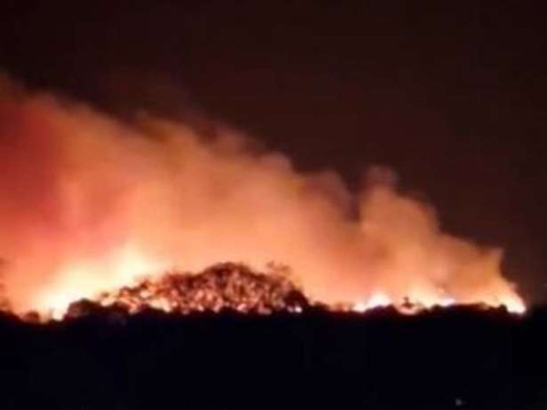 பிரித்தானியாவில் காட்டுத்தீ பரவல் - தீயணைப்பு வீரர்களின் எண்ணிக்கை கணிசமாக குறைவு