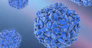 ஜேர்மனியின் ஹம்பர்க் நகரில் கழிவுநீர் மாதிரியில் போலியோ வைரஸ்