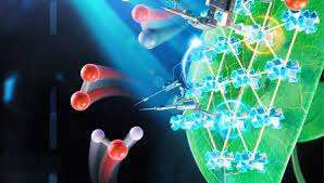 செயற்கை ஒளிச்சேர்க்கை- ஜேர்மன் ஆய்வாளர்களின்  ஆய்வு