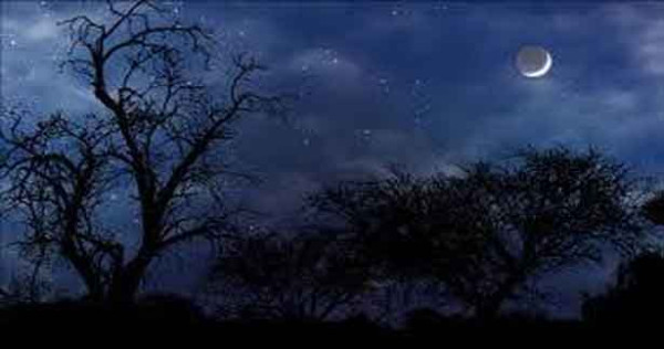 ஓர் இரவுப் பொழுது