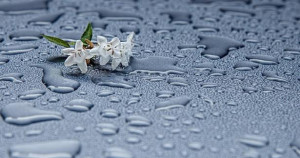 கனவும் நனவும் 