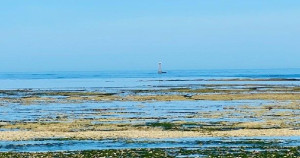 Île de Ré - சுற்றிப் பார்க்க ஓர் அழகிய தீவு..!!