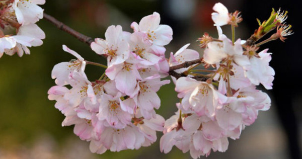 விஞ்ஞானிகளுக்கு விளங்காத விண்வெளி ரகசியம் 