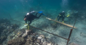 500 ஆண்டுகள் பழமையான கப்பலின் சிதைவுகள் மீட்பு!! 