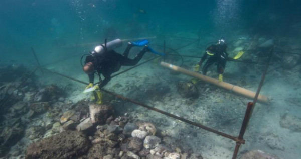 500 ஆண்டுகள் பழமையான கப்பலின் சிதைவுகள் மீட்பு!! 