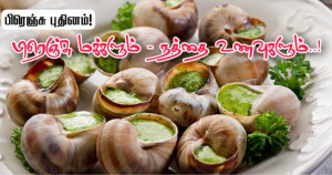 பிரெஞ்சு மக்களும் - உணவாக்கப்படும் நத்தைகளும்!