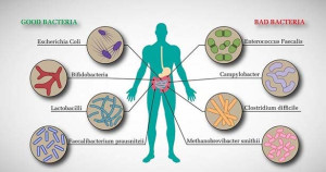 கெட்ட பாக்டீரியாக்கள் ஏற்படுத்தும் பாதிப்புகள்