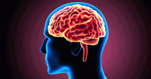 மூளைத்திறனை மேம்படுத்தும் பயிற்சிகள்