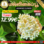 10முழம்-மல்லிகைப்பூ 