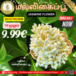 மல்லிகைப்பூ 
