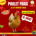 நாட்டுக்கோழி 