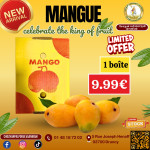 Mangue