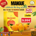 Mangue