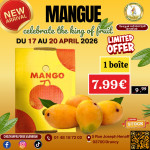 Mangue