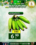 வாழைக்காய்